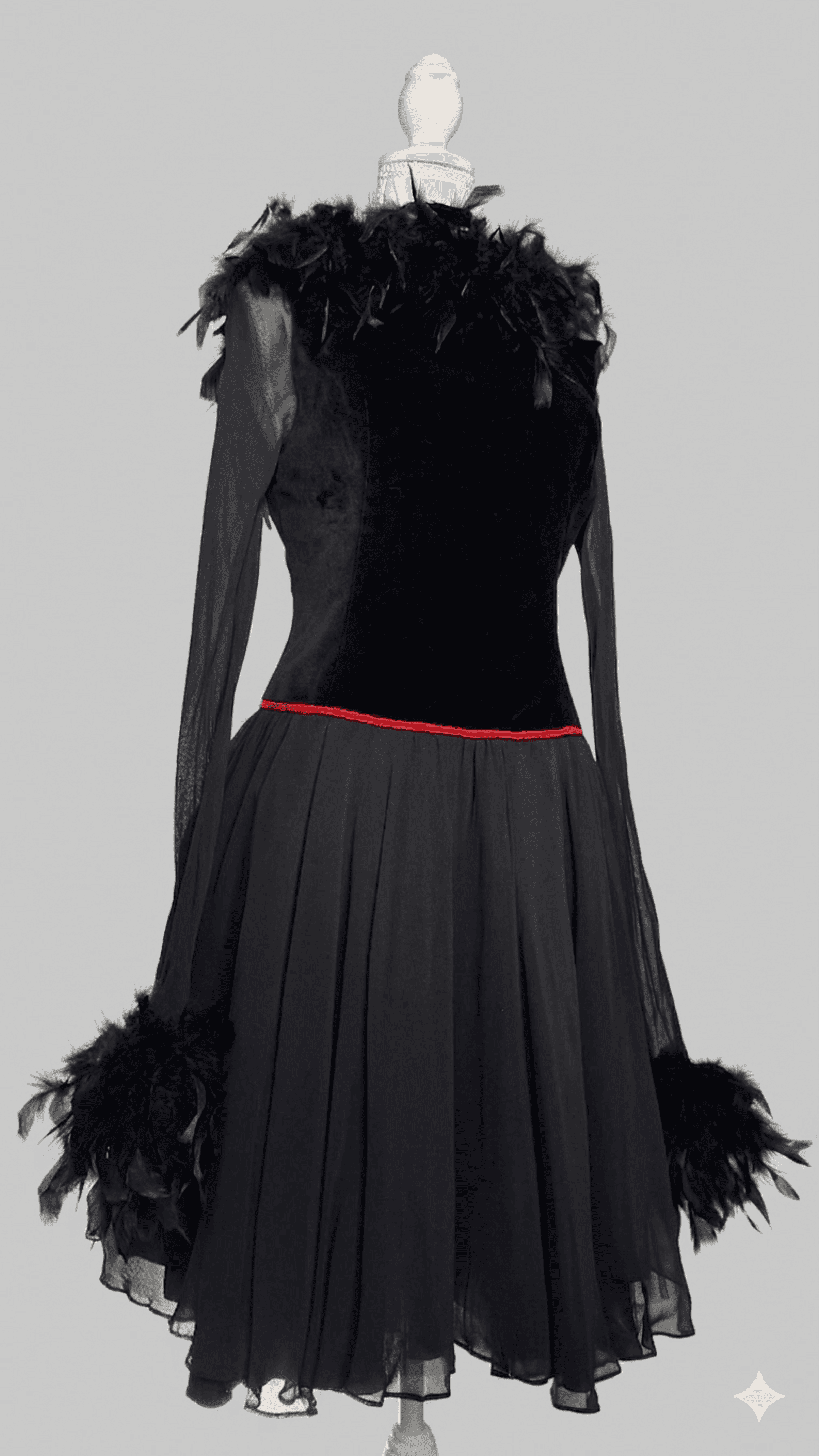 Dramatic Black Feather Gown